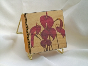 Masdevalia orchid box