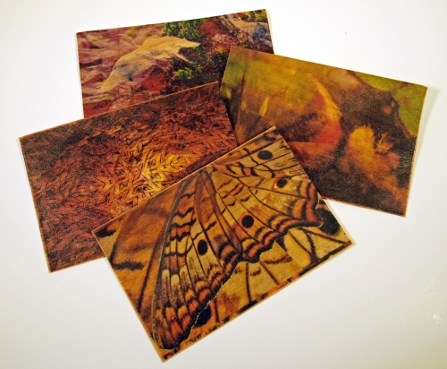 Wood veneer postcards using TAP